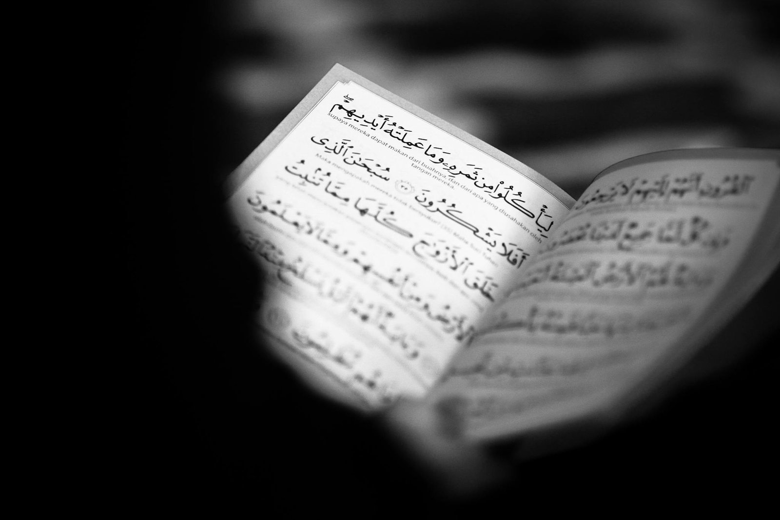 Black and white image of an open Quran highlighting Arabic script, emphasizing spirituality.